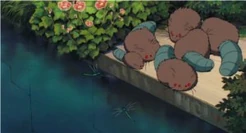 Vieräugige Biber aus dem Gartenarchiv