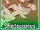 V7c-shinto.png