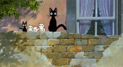 Kiki La Petite Sorciere Wiki Studio Ghibli Fandom Kiki La Petite Sorciere Wiki Studio Ghibli Fandom