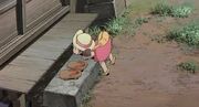 Totoro-erhebung