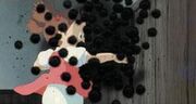 Mei-blackies.jpg