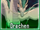 V7c-drachen.png