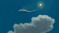Hakus-transforming-small.gif