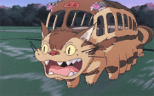 Alle Totoro buskatze aufgelistet