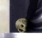 Kenji's body after 30 years