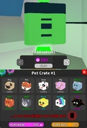 Pet Crate #1