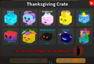 2020 Thanksgiving Pet Crate