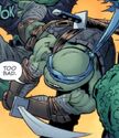 As seen in Teenage Mutant Ninja Turtles/Ghostbusters Volume 2 Issue #3