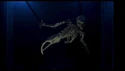 Concept puppet test in water tank (Credit: Arjen Tuiten)