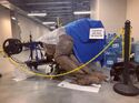 VinzClorthoStorageBts01.jpg (248 KB) Terror Dog in storage spot (Credit: Geoffrey Redknap)
