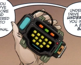 RemoteAccessPortalBand10