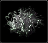 EctoplasmResidueinGBTVGRVIcon.png