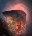 The skull of Gozer as seen at the end of Ghostbusters: The Video Game (Realistic Versions)