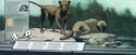 TwoHeadedManEatersOfTsavo01.jpg (96 KB) TwoHeadedManEatersOfTsavo01