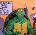 As seen in TMNT/Ghostbusters Volume 2 Issue #1