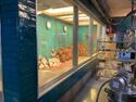 Shooting range in Paranormal Research Center (Credit: Kevin Mangold)
