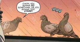 TalkingPigeons01