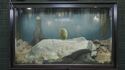 Aquarium Pukey Tank version 4 concept by Andrew George Smith dated 3/23/2023
