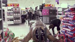 TerrorDogInWalmartSceneBts01.jpg