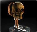 TheSkullofIvoShandor.png (40 KB) The Skull of Ivo Shandor found in Central Park Cemetery Level (realistic version)