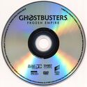 DVD Disc (credit: Paul Rudoff)