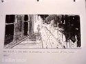 Storyboard (Credit: William Forsche and Spook Central)