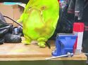 Pukey set puppet (Credit: Yes Have Some)