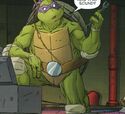 As seen in TMNT/Ghostbusters Issue #4