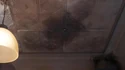 "Black mold" on ceiling of Trevor's room on third floor, seen in Tested 4/2/2024