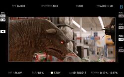 VinzClorthoWalmartChaseBts01.jpg