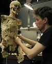 Skeleton in progress (Credit: Stan Winston School)
