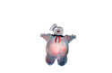 "Stay%20Puft%20Alpha%20Channel%201_2.zip" as transparent (file)
