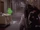 Ghostbusters (Chapter 12): "He Slimed Me!"