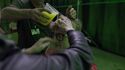 Crew applies slime, seen in Busted: Capturing the Ghosts of Frozen Empire special feature