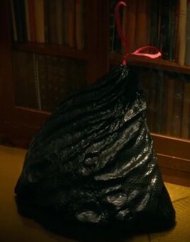 Trash bag