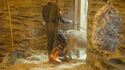 Donkey enclosure (Credit: FilmInk Magazine)
