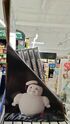 Store display in a Dollar General in Midwest (Credit: Devilmanozzy)