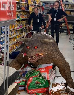 VinzClorthoWalmartChaseBts02.jpg