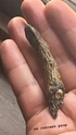 Frozen Empire finger prop (Credit: Gil Kenan (instagram story)