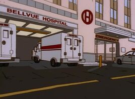 BellevueHospitalAnimated01