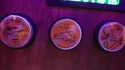 Summer Tribute Store, collectible coin selector buttons in arcade area, in 2024 (Credit: Kevin Heimbach)
