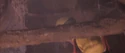 GB2film1999chapter09sc009.png (401 KB)