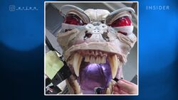 TerrorDogAfterlifePuppetBtsSeenOnInsiders15.jpg