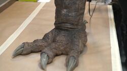 TerrorDogAfterlifeArmature01.jpg