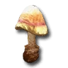 MoonlightsVeldMushroom