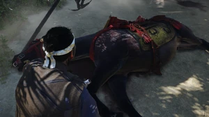 Jin honoring his old horse.