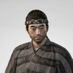 Headband of survival Cropped