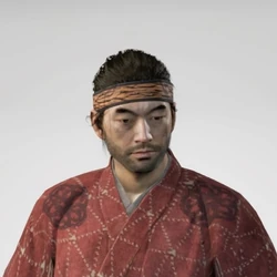 Headband of Strength Cropped