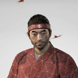 Headband of serenity Cropped