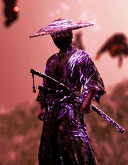 Spirit cinders ronin